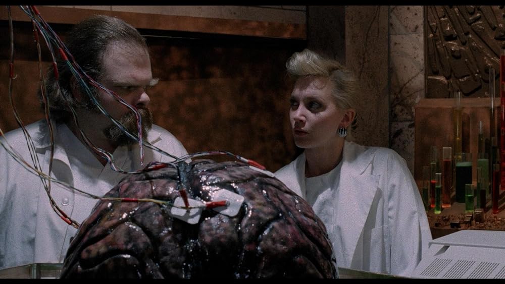 ブレイン／鮮血の全国ネットの画像