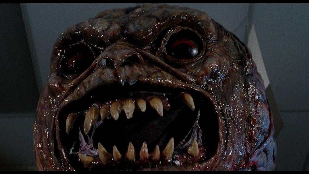 ブレイン／鮮血の全国ネットの画像