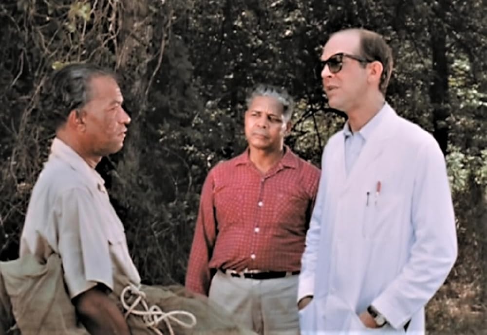 呪いの沼の画像