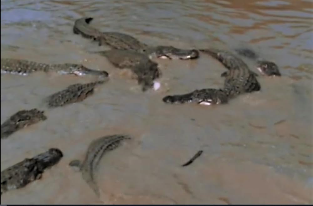 呪いの沼の画像