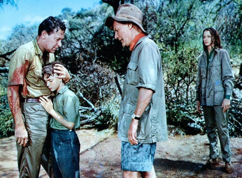 ライオンの画像