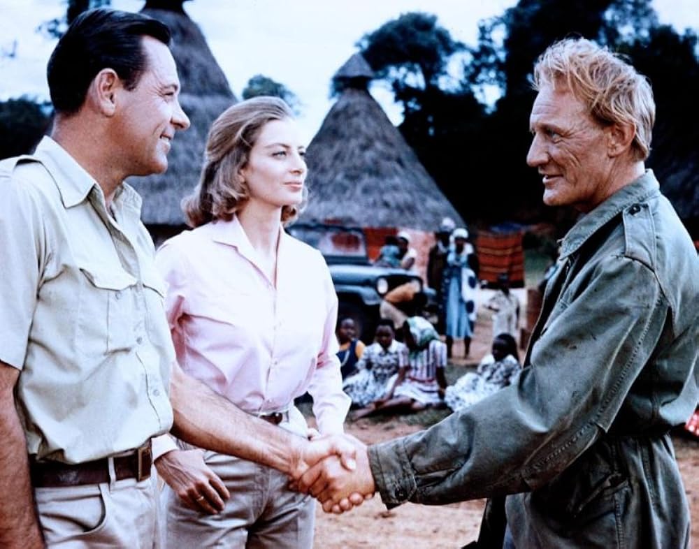 ライオンの画像