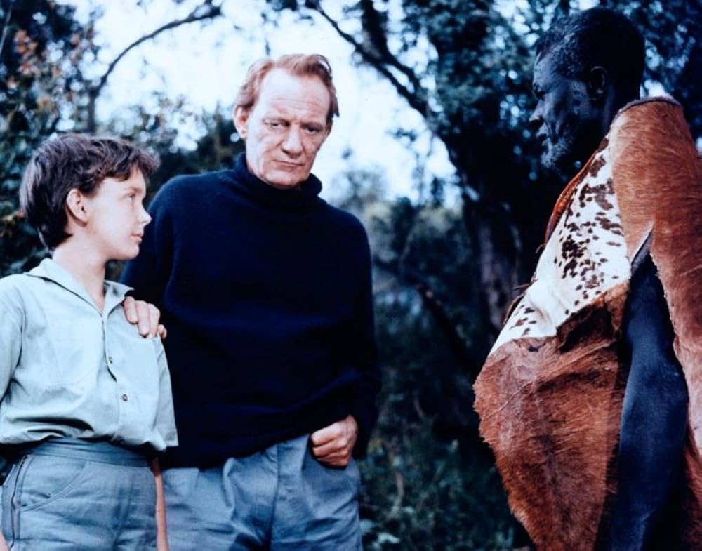 ライオンの画像