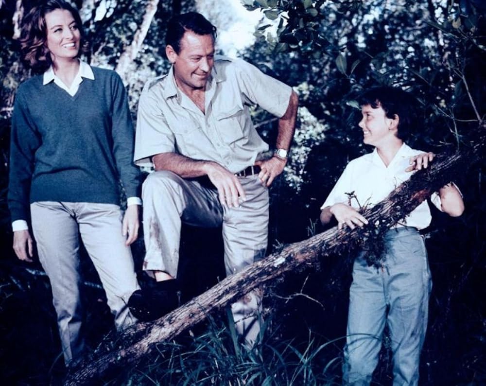 ライオンの画像