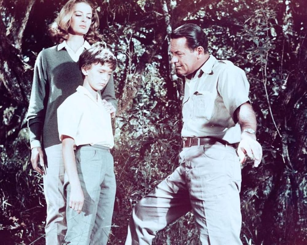 ライオンの画像