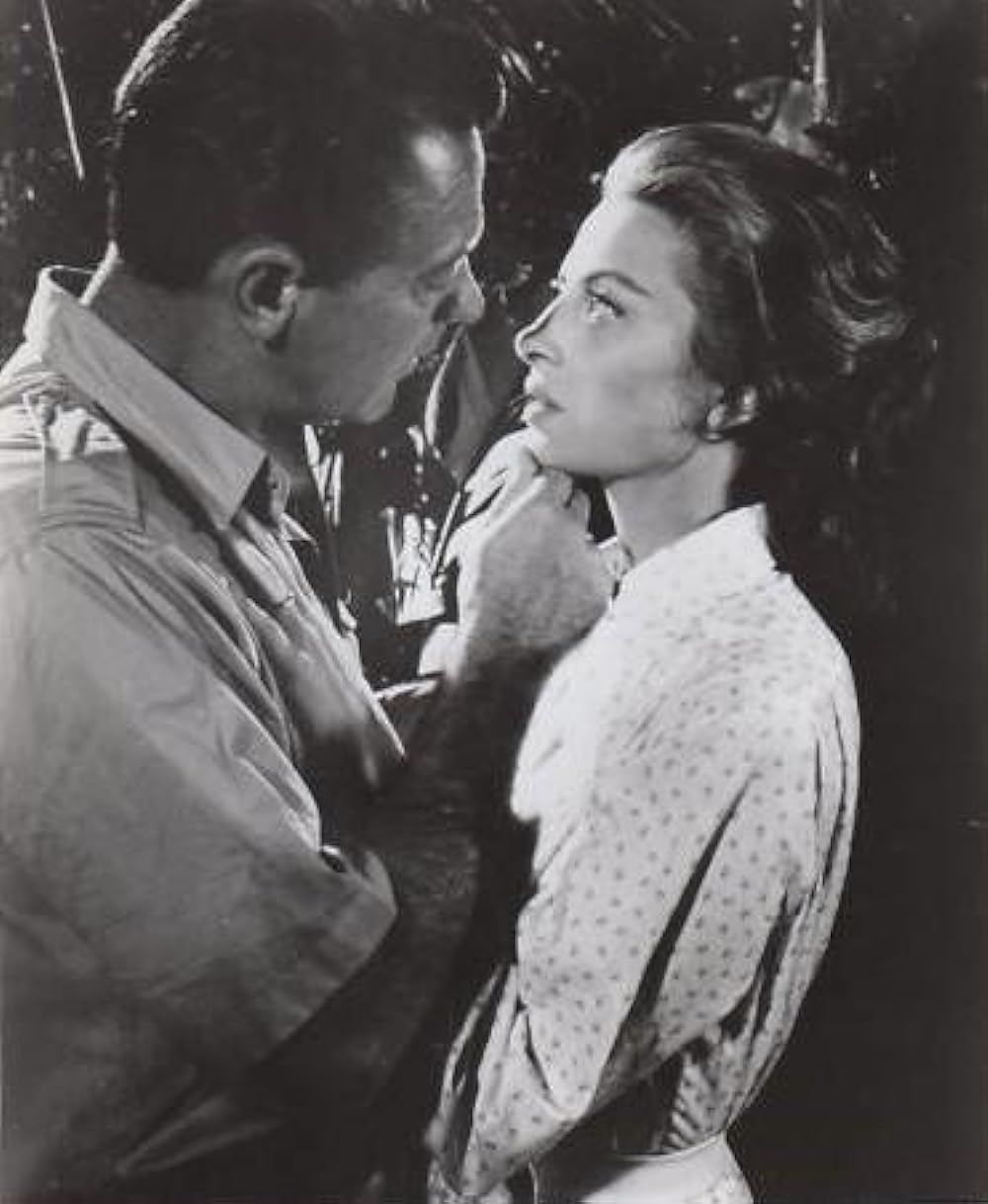 ライオンの画像