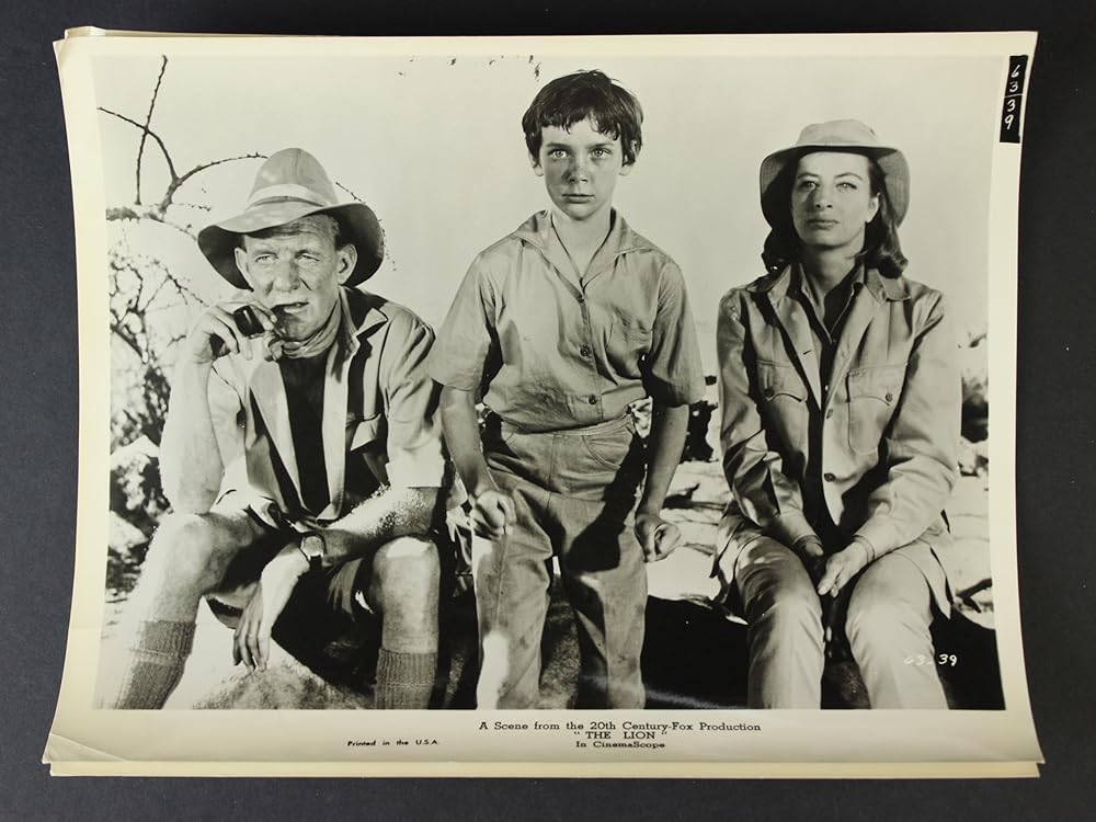 ライオンの画像