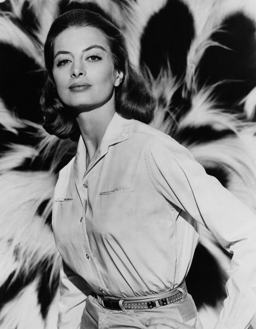 ライオンの画像