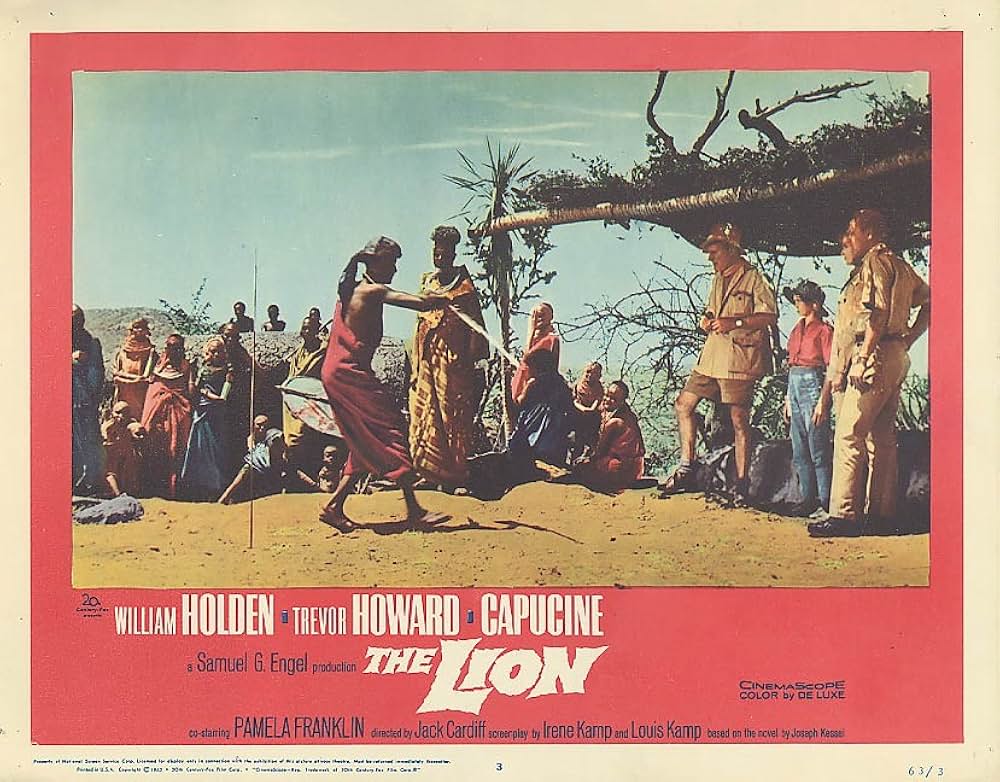 ライオンの画像