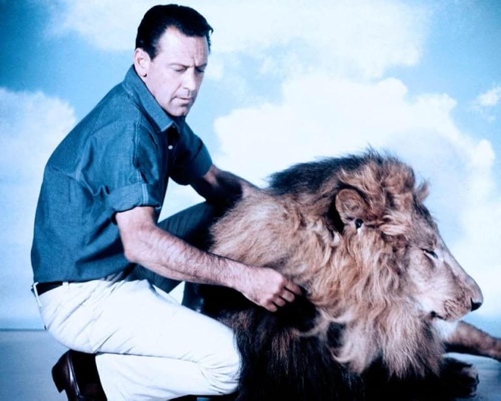 ライオンの画像