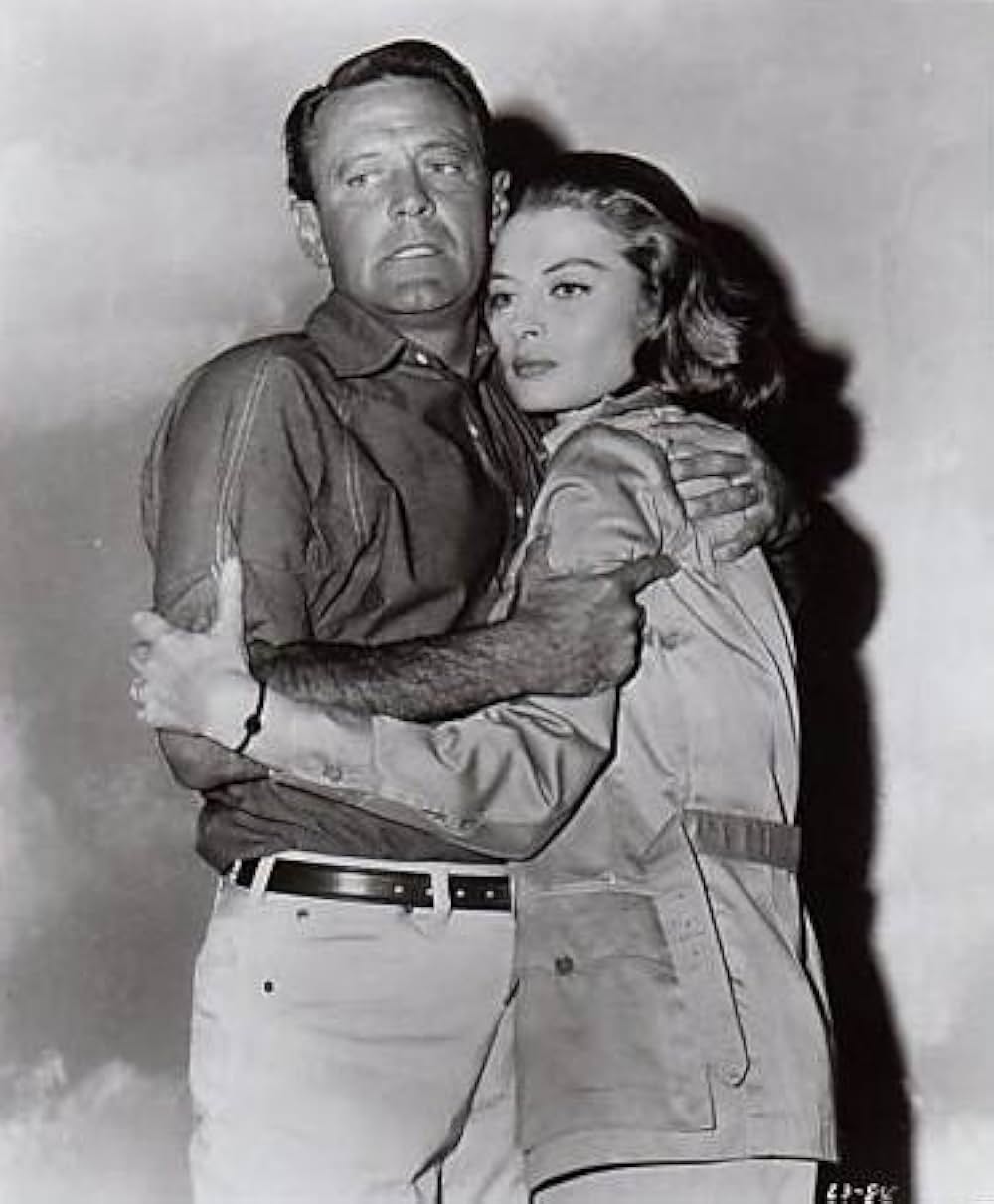 ライオンの画像