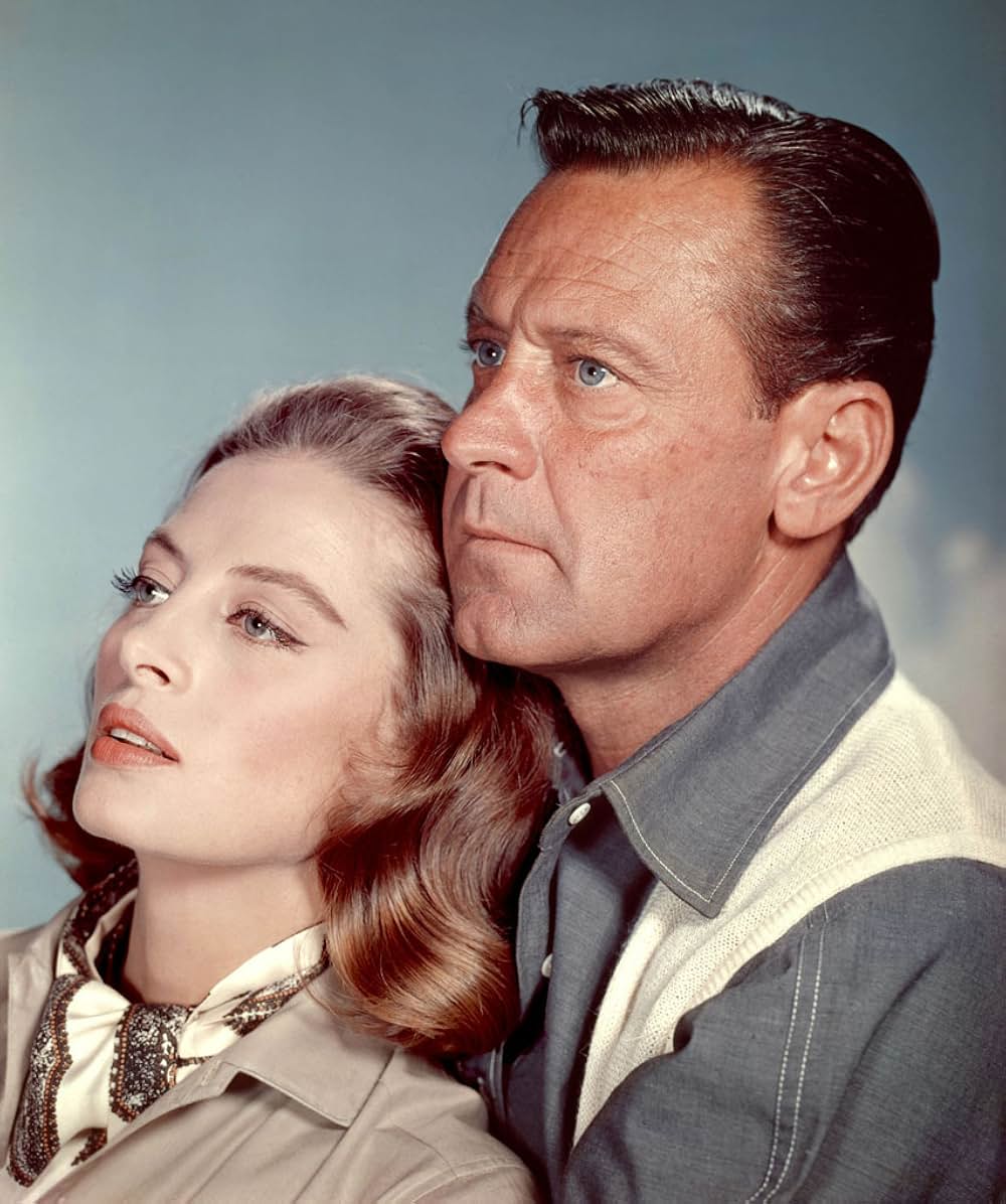 ライオンの画像