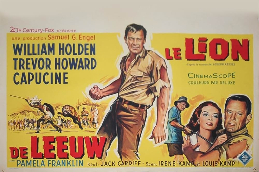 ライオンの画像