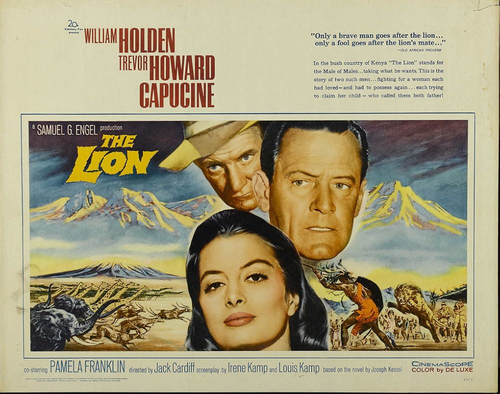 ライオンの画像