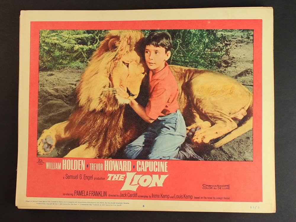 ライオンの画像