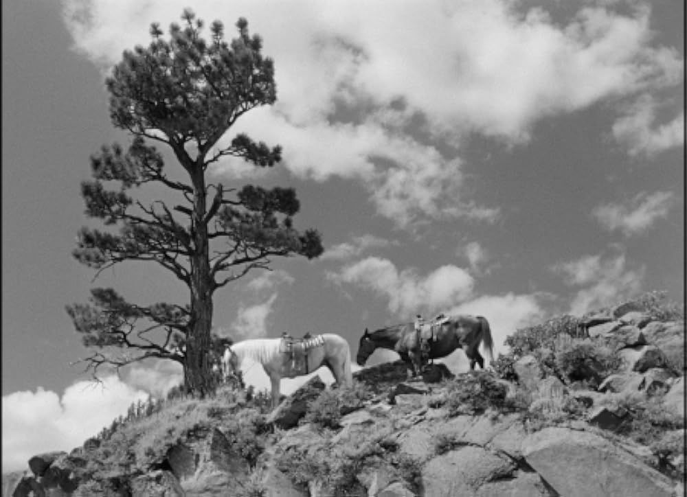 私は殺さないの画像