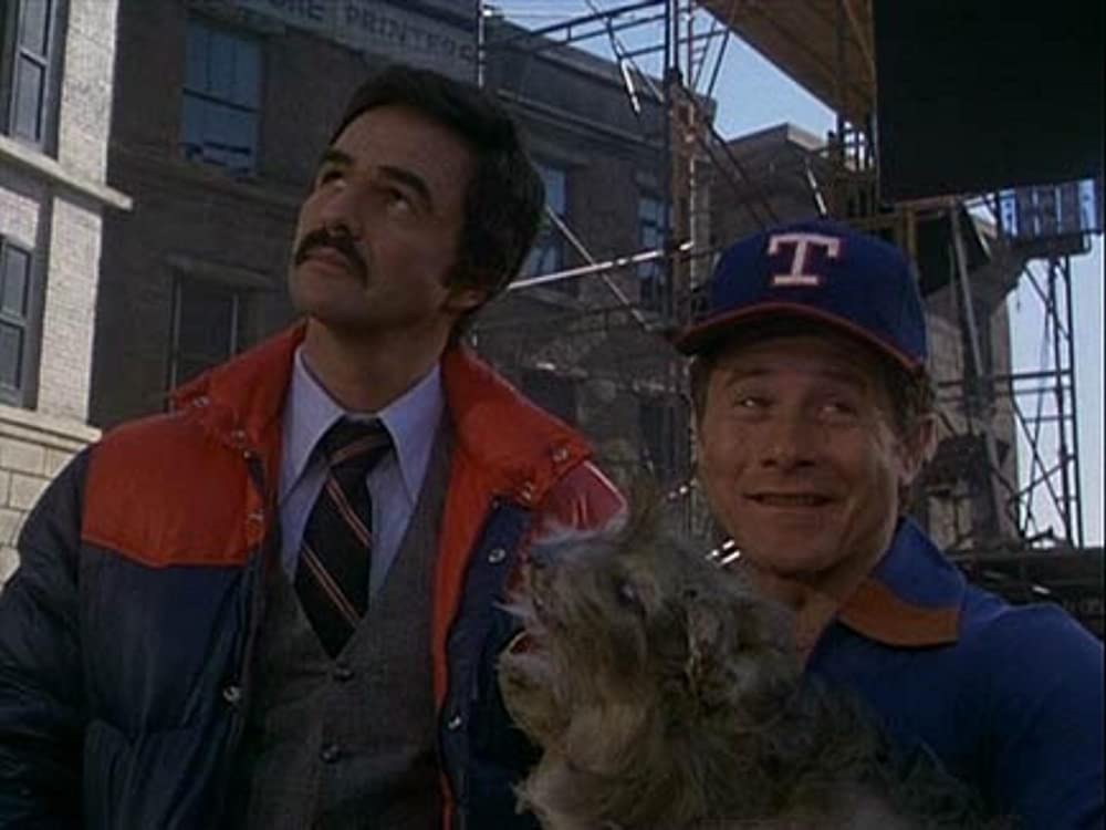 グレートスタントマンの画像