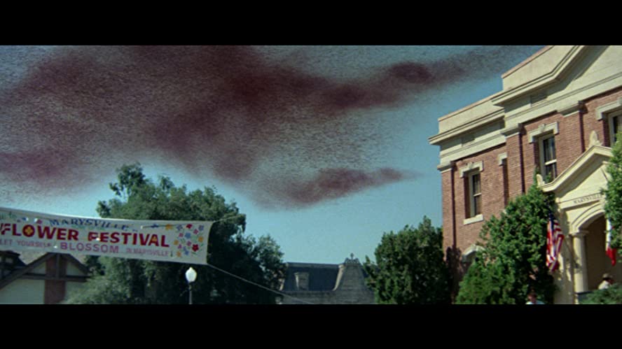 「スウォーム」の画像