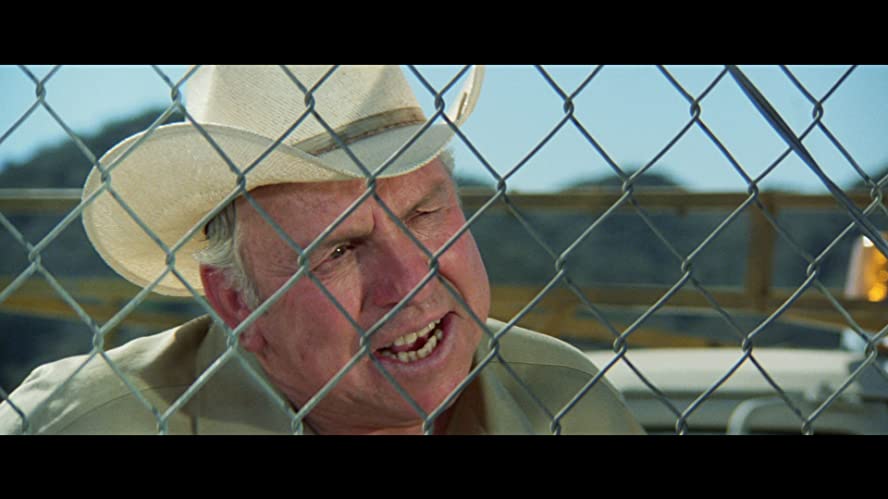 「スウォーム」スリム・ピケンズの画像