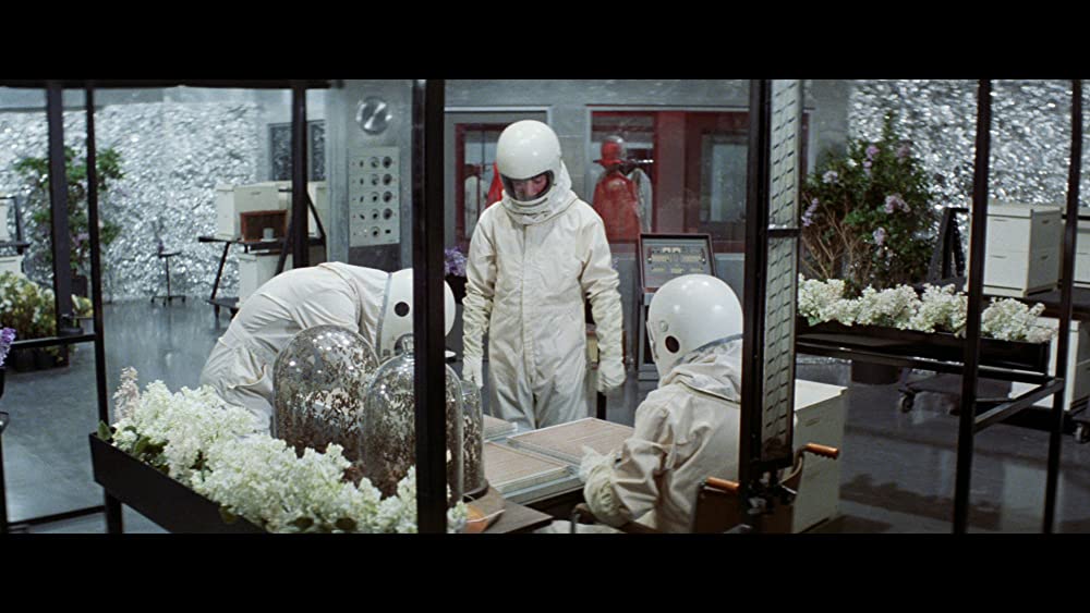 「スウォーム」の画像