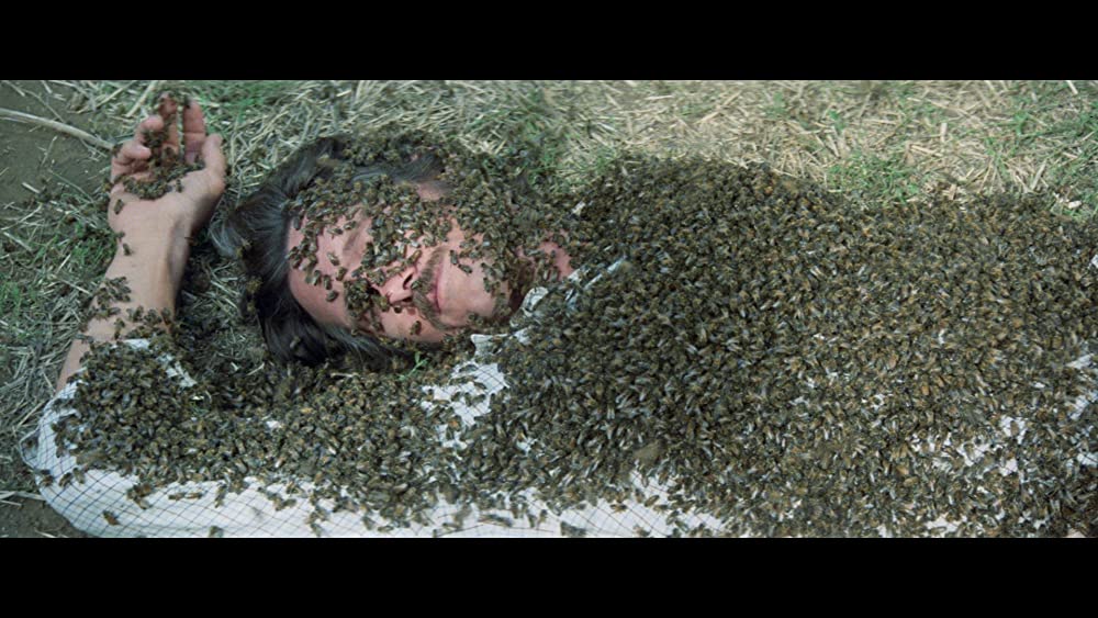 「スウォーム」の画像