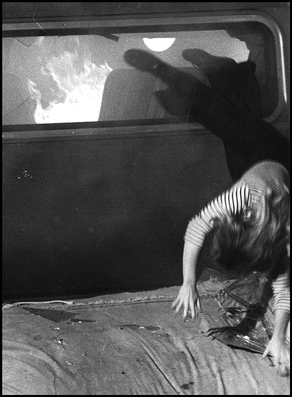 「スウォーム」Marneen Fieldsの画像