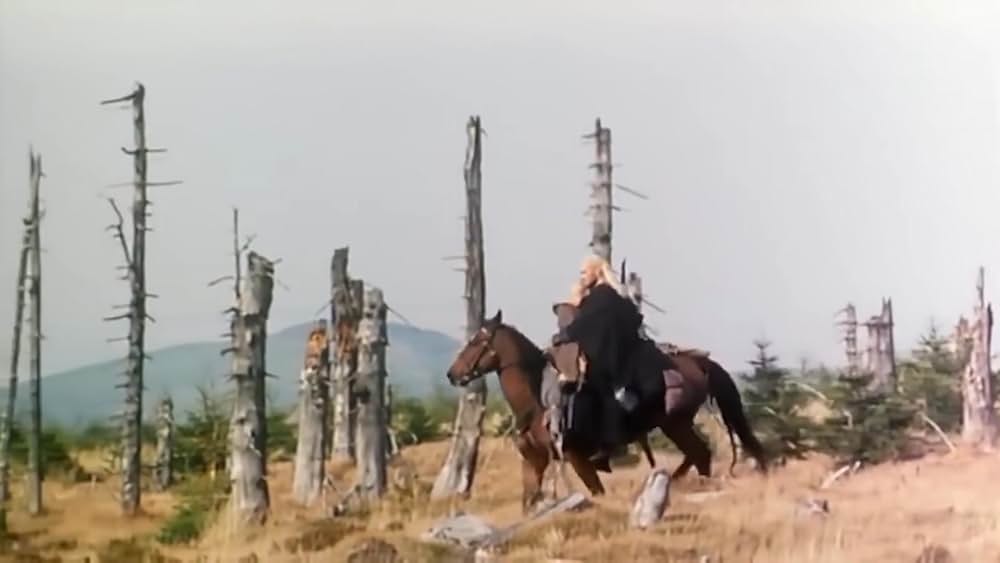 コンクエスタドールの画像