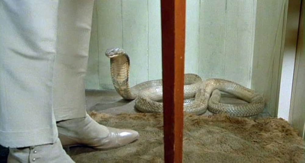 ナイル殺人事件の画像