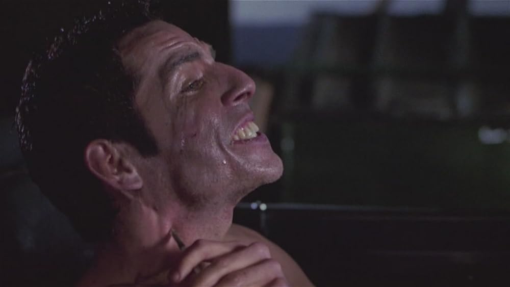 パーマネント ミッドナイトの画像