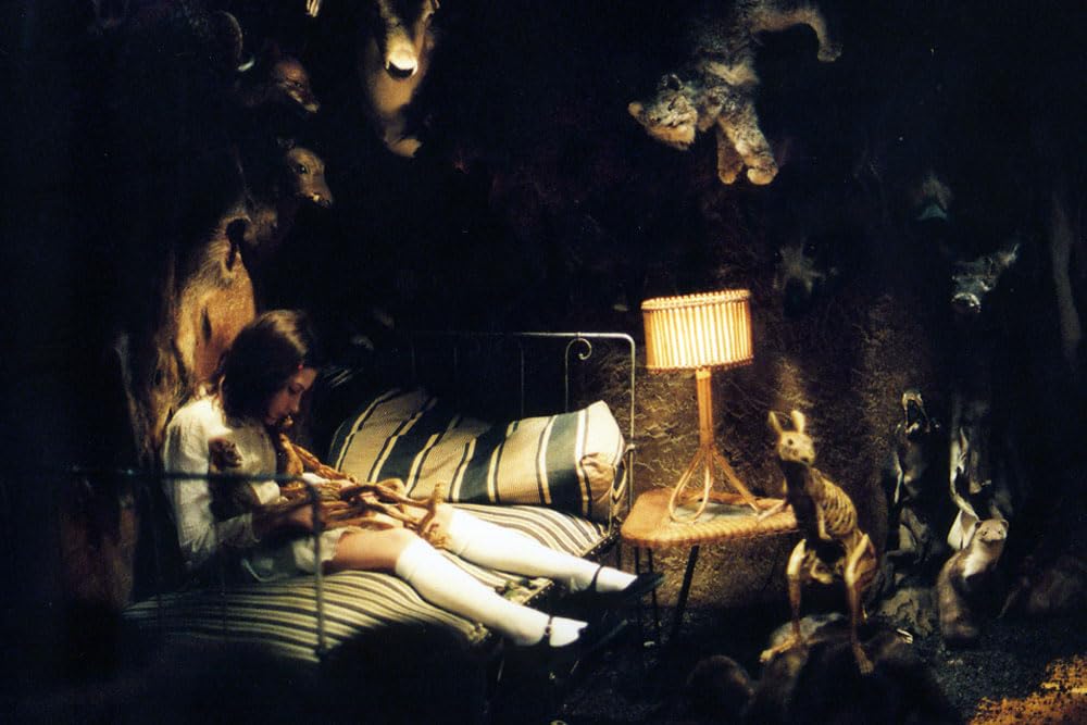 スマイルコレクターの画像