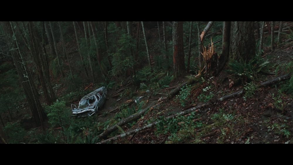 エイドリアン･ブロディ エスケイプの画像