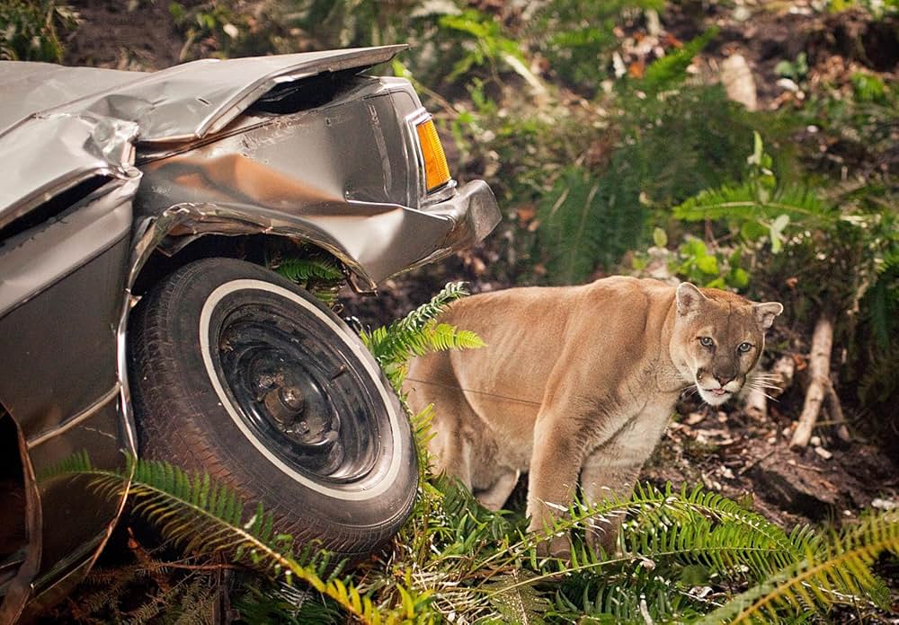 エイドリアン･ブロディ エスケイプの画像