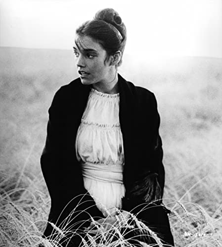 天国の日々の画像