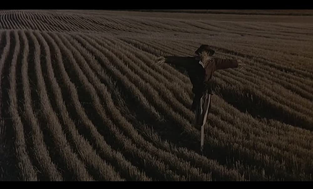 天国の日々の画像