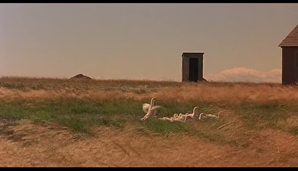 天国の日々の画像