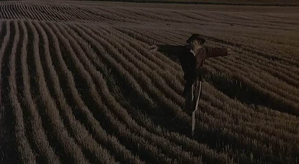 天国の日々の画像