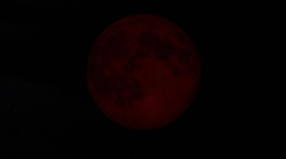 The house of the devil（原題）の画像