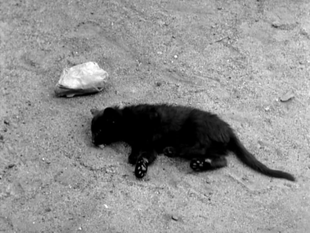 タンスと二人の男の画像