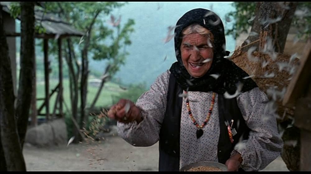 太陽は、ぼくの瞳の画像