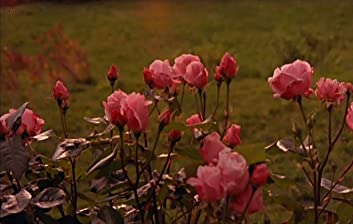 秋のソナタの画像