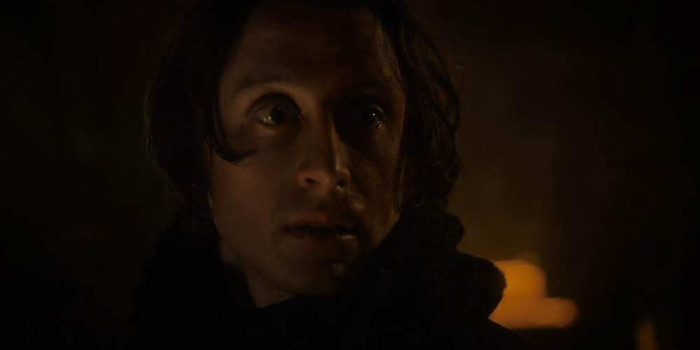 The Last Thing Mary Saw（原題）の画像