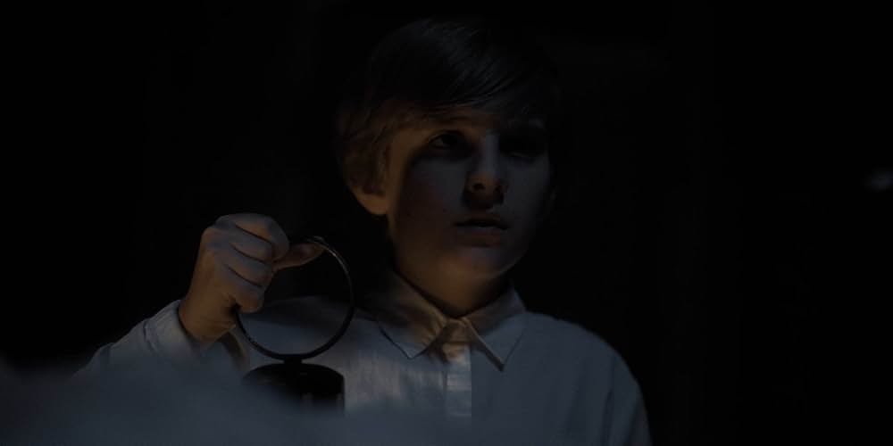 The Last Thing Mary Saw（原題）の画像