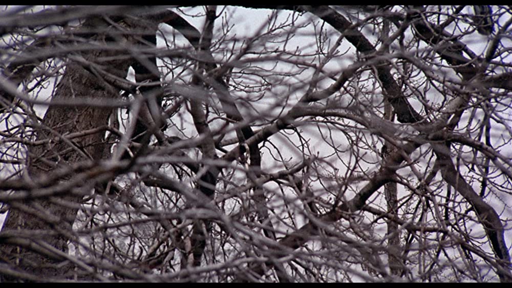 インテリアの画像