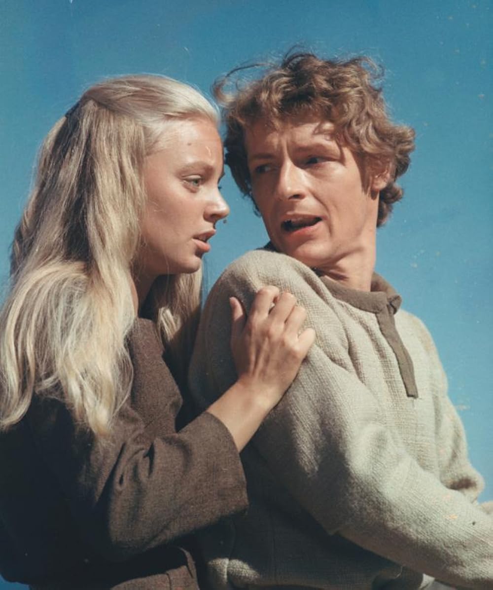 アムールの画像