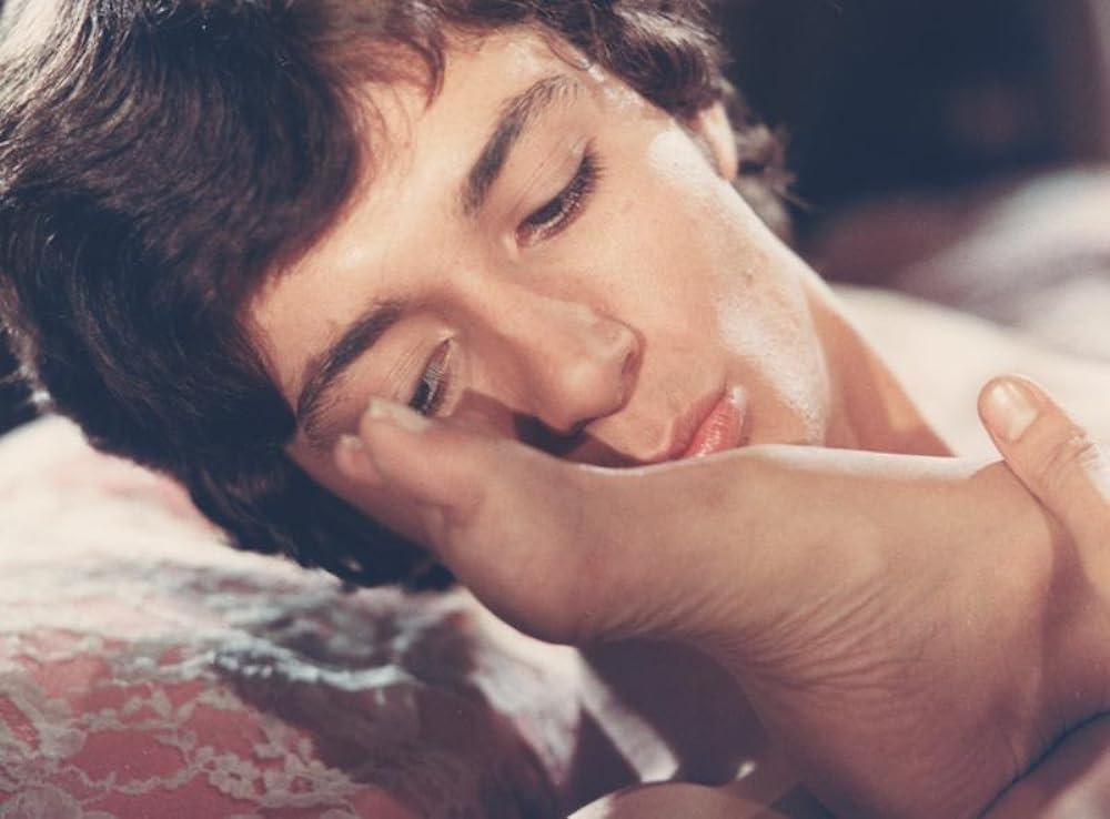 アムールの画像