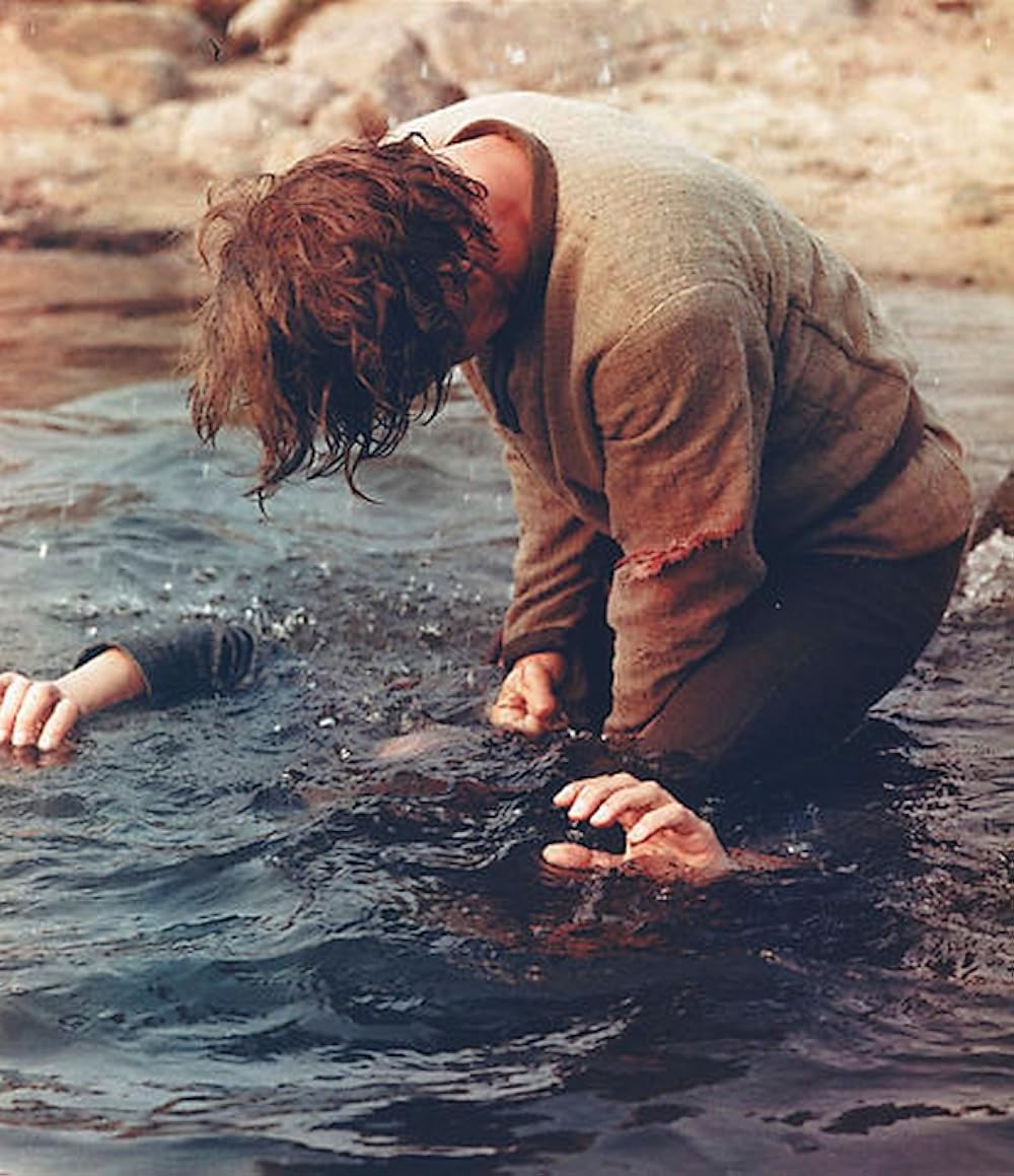 アムールの画像