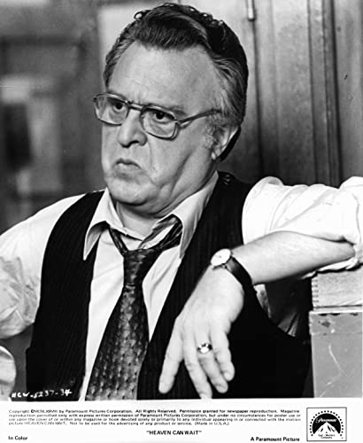 「天国から来たチャンピオン」ビンセント・ガーディニアの画像