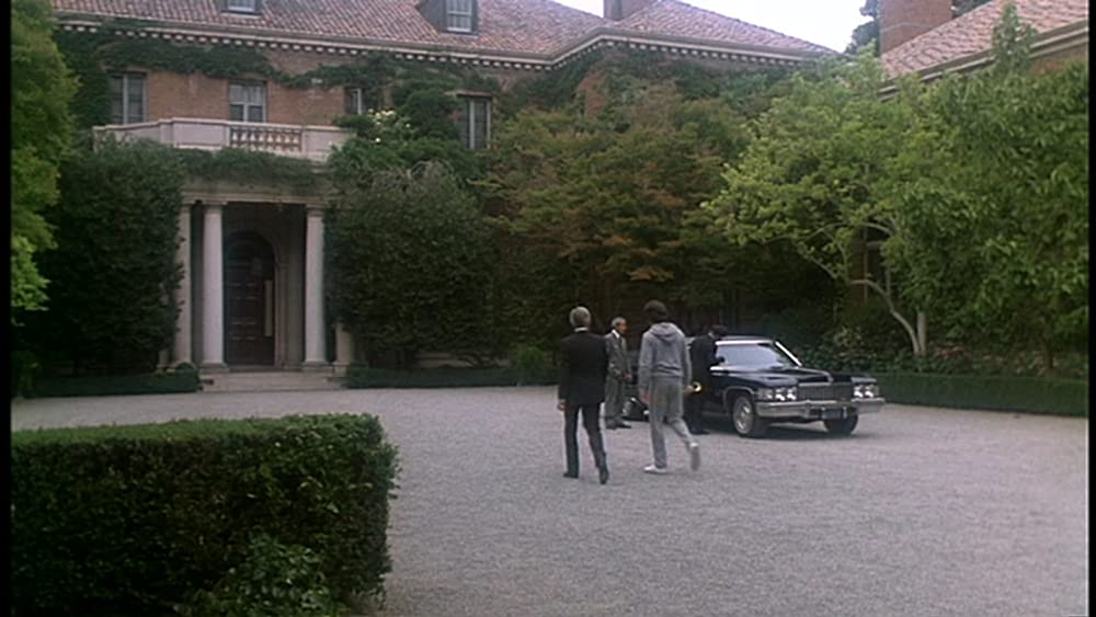 天国から来たチャンピオンの画像