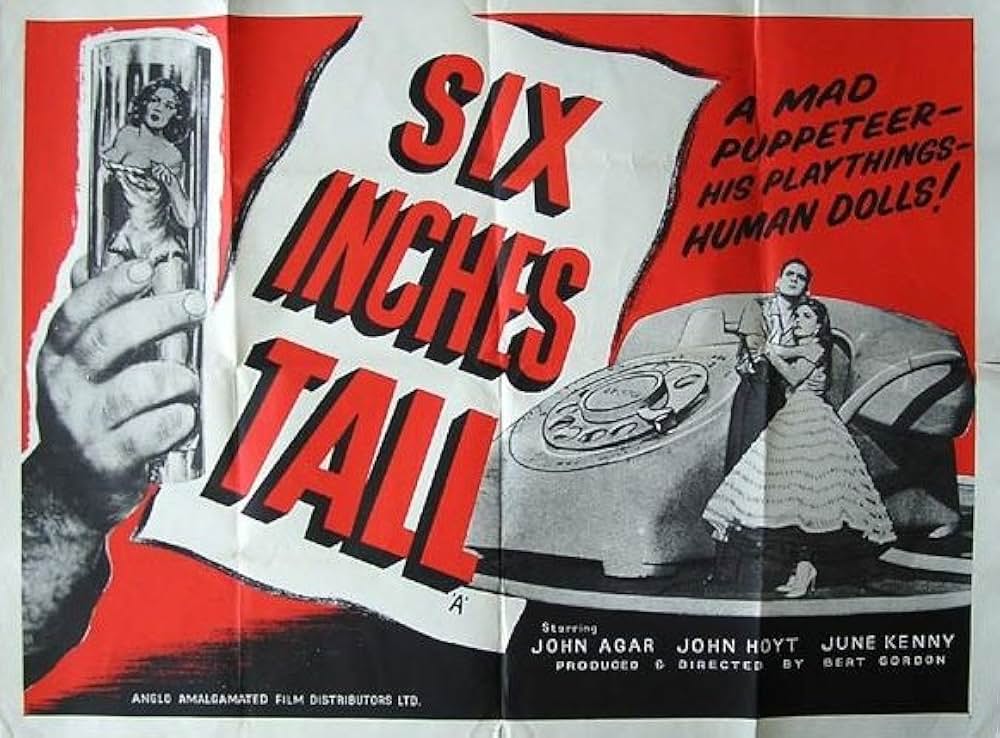 生きていた人形／人間人形の逆襲の画像