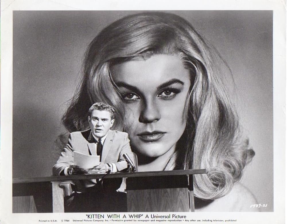 セクシー・ダイナマイトの画像